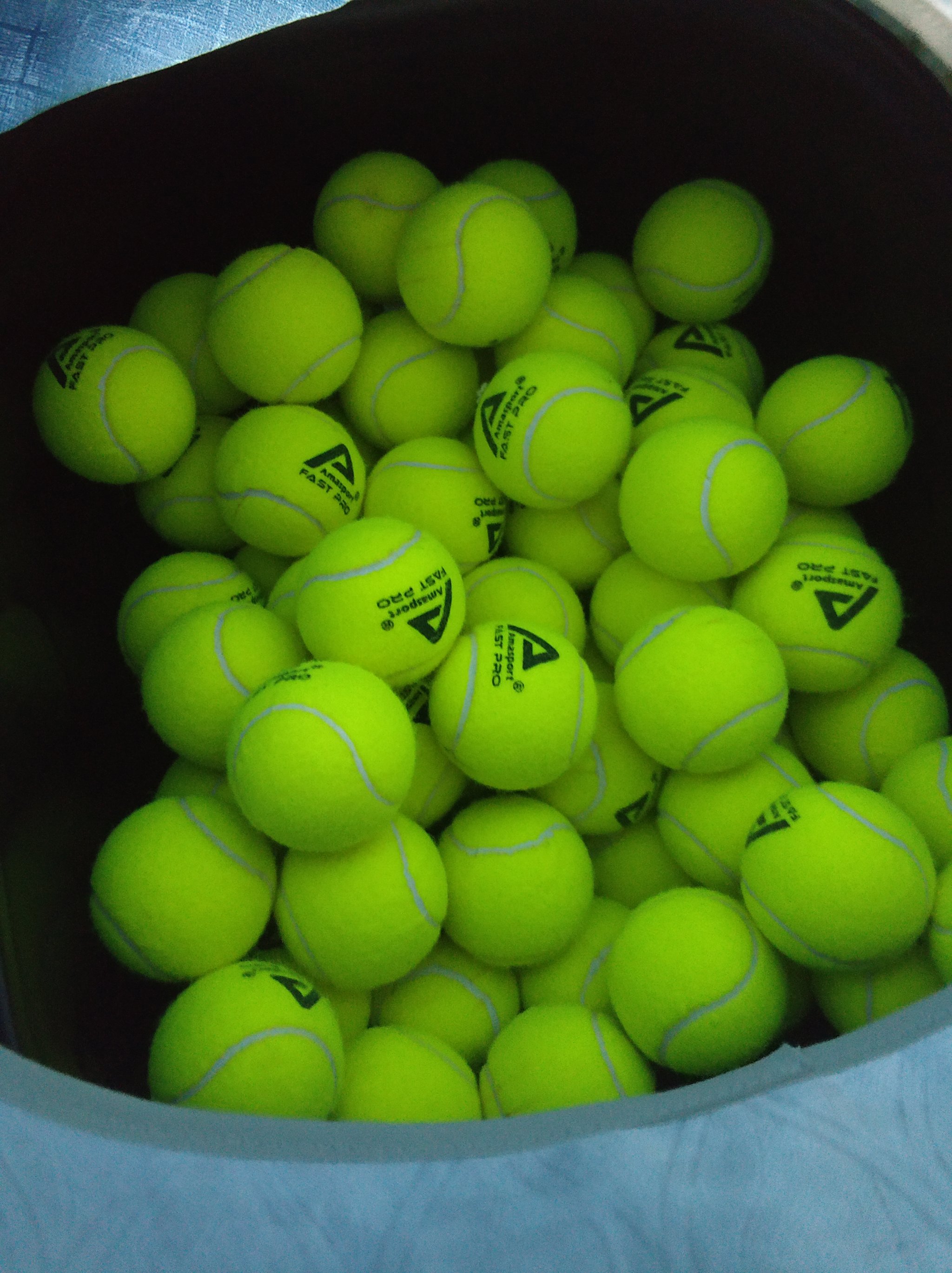 在网球世界 在网球世界