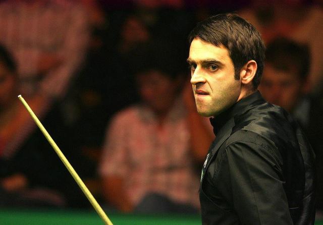 他们在某些 他们在某些